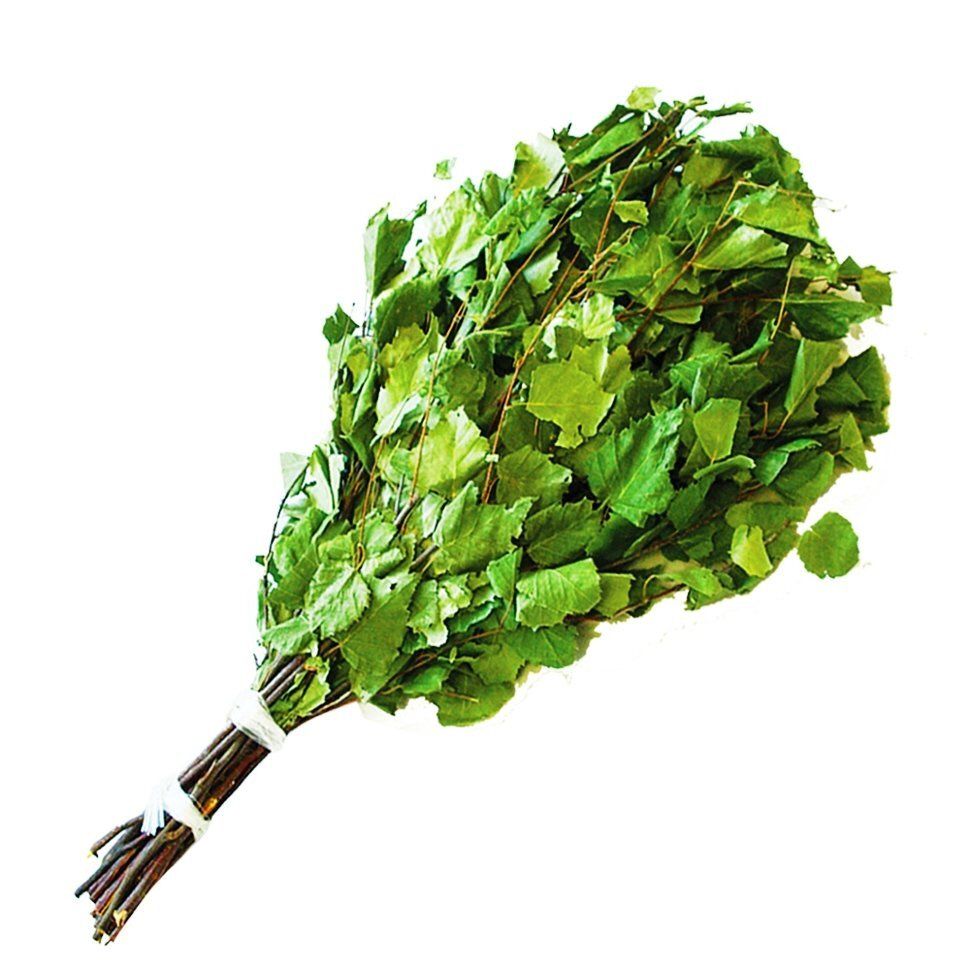 Венники банные