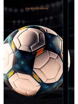 Ежедневник ТМ Collezione А5 128л Записки футболиста